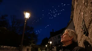 En Grand Est, on éteint les lumières pour l’avifaune : la trame noire entre en action